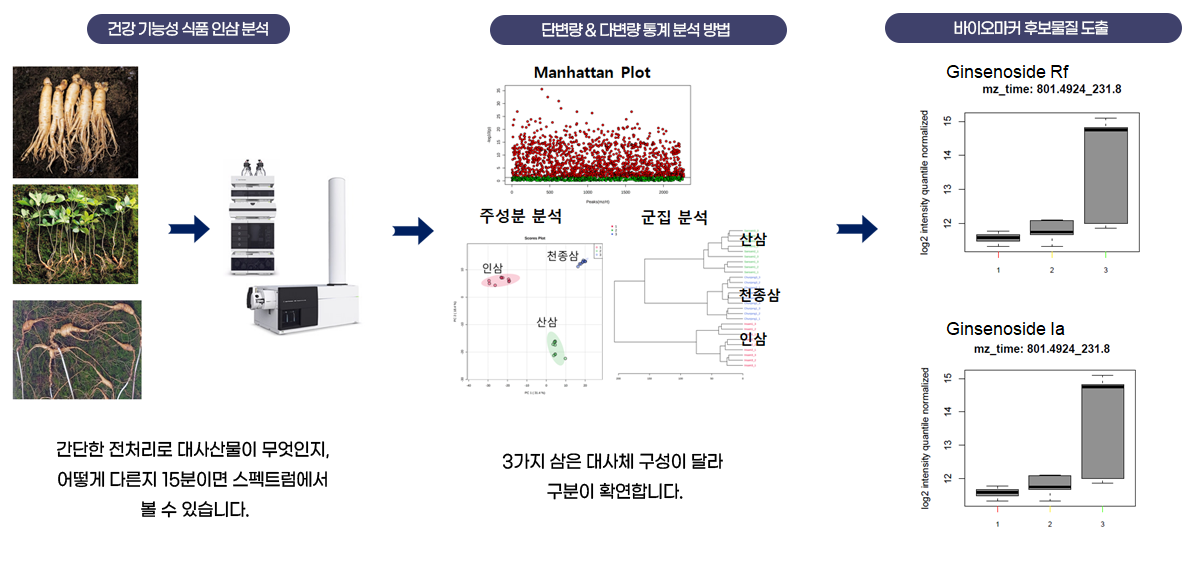 이미지명