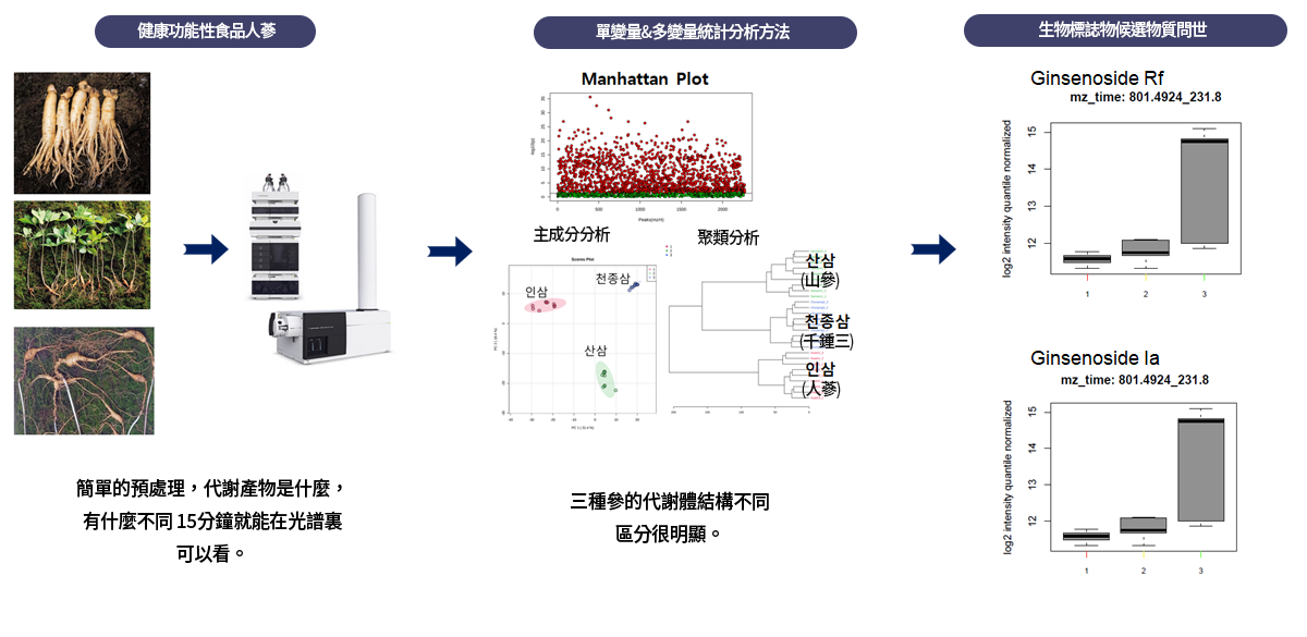 이미지명